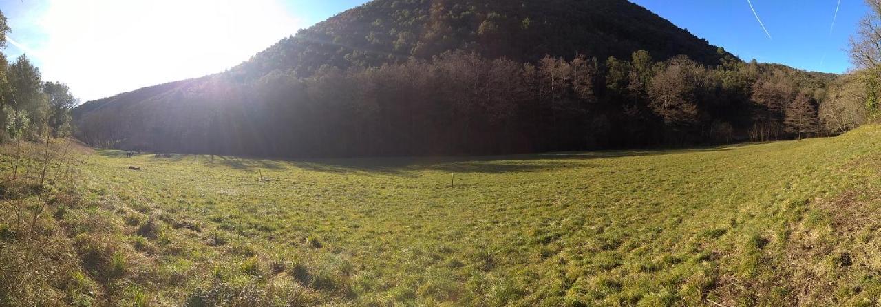 Chambre Cevennes: Piscine, Lamas, Riviere Cros  Exteriér fotografie