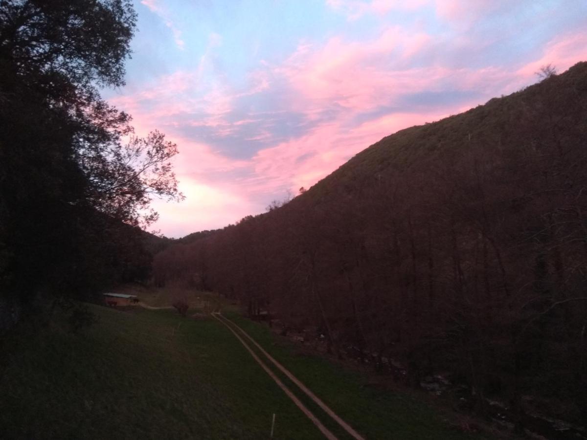 Chambre Cevennes: Piscine, Lamas, Riviere Cros  Exteriér fotografie