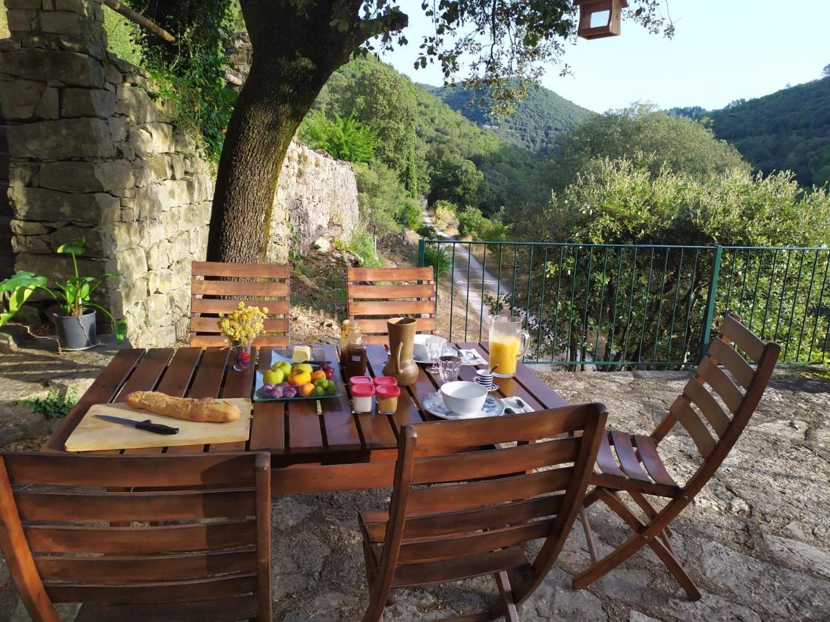 Chambre Cevennes: Piscine, Lamas, Riviere Cros  Exteriér fotografie